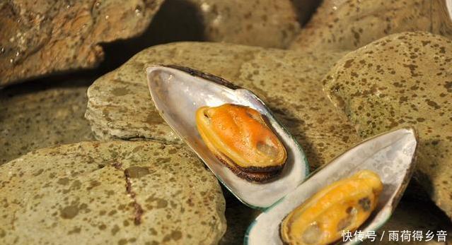 丑陋|6种“外表丑陋”却十分鲜美的海鲜,看看你吃过几种