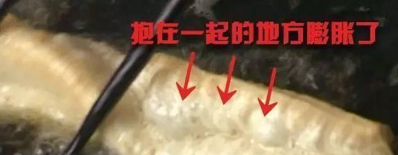  小苏打|洗衣粉炸油条，是真的吗？吃完会不会吐泡泡？
