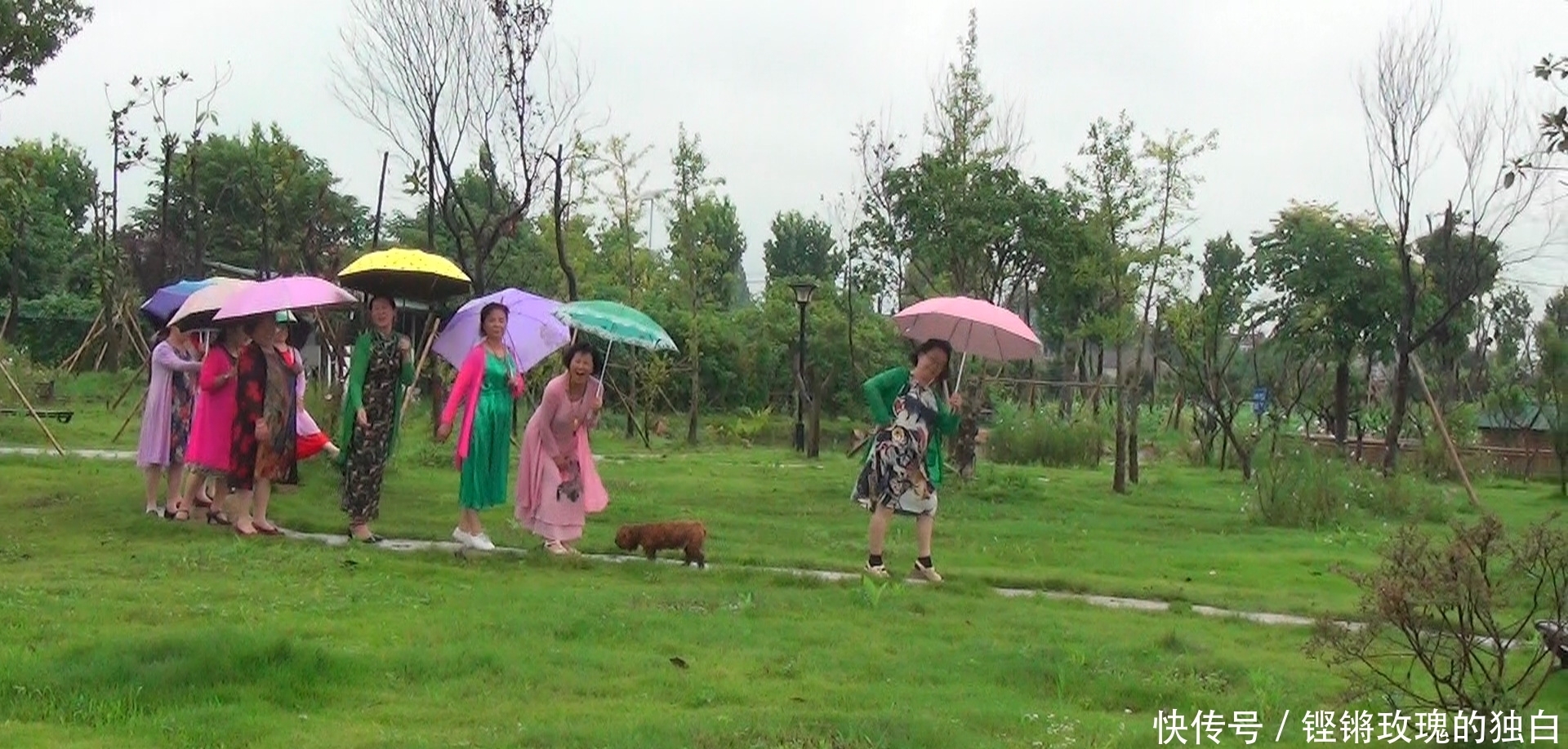八中|马鞍山八中74届高中女生模特团:南京江宁竹庄生态园雨中走秀(音乐相册)