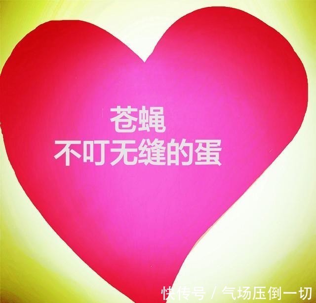 真驱赶|「苍蝇不叮无缝的蛋」不要一味地埋怨别人,想一想自己的行为