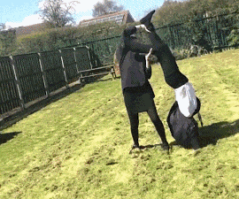 天天|搞笑GIF:我家的电线天天被当成秋千!