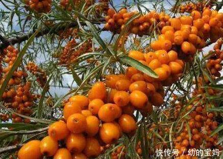 感冒|女人常吃一宝，感冒好了，排除湿气，远离妇科炎症，子宫越来越好