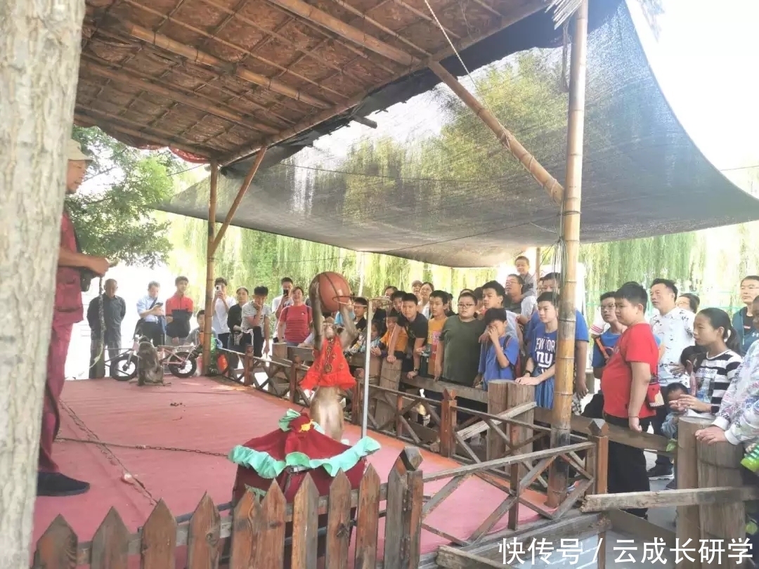 圆满结束|“大兵小将”两天一夜亲子活动圆满结束!