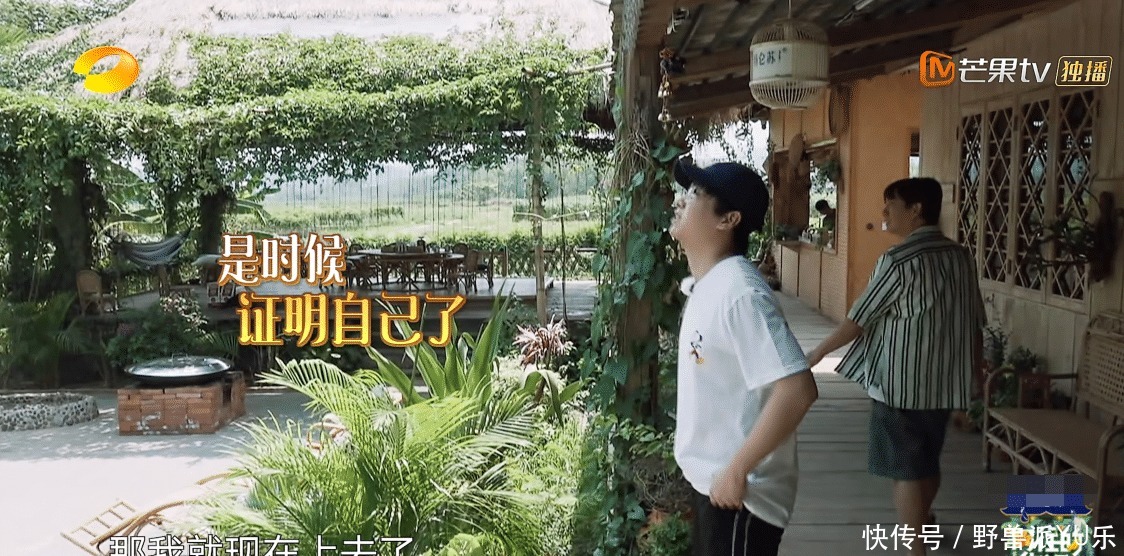 彭昱畅|节目四十度高温,黄磊何炅不想干活,彭昱畅冒险摘椰子背负了太多