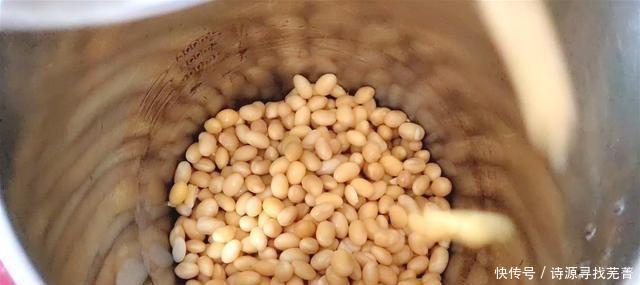 黄豆|想吃豆腐不要买，1碗黄豆1碗水，教你在家做，操作方便，好吃