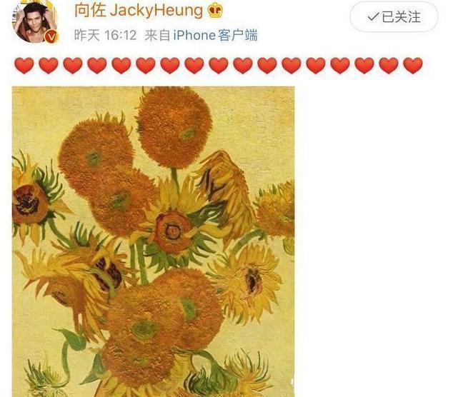  感情|向氏家族深不可测，向太咄咄逼人，可郭碧婷也不是小绵羊