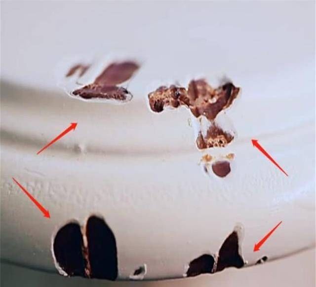 难怪|baby杨颖“吃桌子”,别人假装咬,她却留下牙齿印,难怪你最红