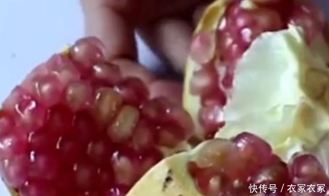 吐籽|有人说石榴的营养全在石榴籽里,那吃石榴要不要吐籽