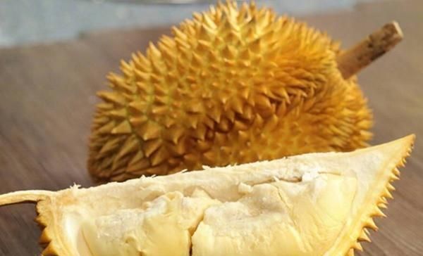 饿死|假如世界上仅剩下这5道食物,必须选一种的话你怎么选饿死算了