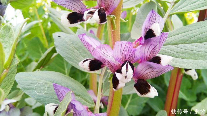 看不起|不要看不起别人做事,却羡慕别人的收获