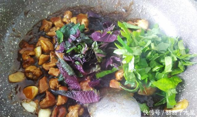  回味无穷|这道菜是用乡下的天然香料做的，让人回味无穷