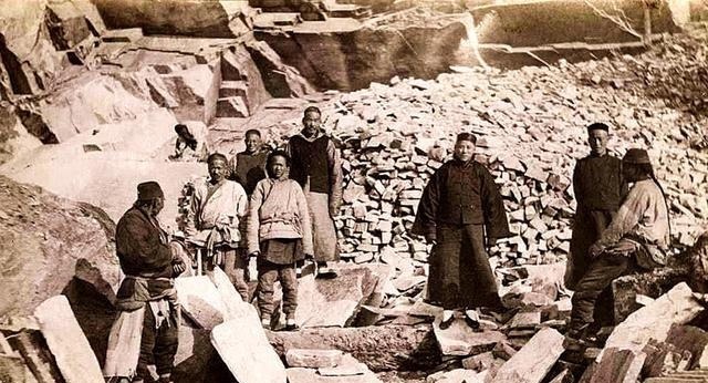 方仁实家|一棵香椿树，三条人命案，县令慧眼辨凶，不肖子孙被斩首示众