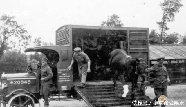幸存者|老照片:直击真实的一战战场,战争之下没有幸存者