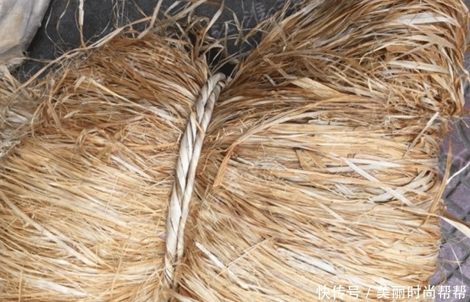  古人|宋朝前没有棉花，当时古人用什么御寒？有1种名贵到现代人也少穿