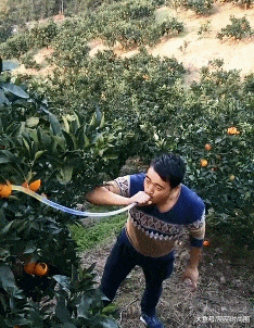 GIF|搞笑GIF:看到最后我就放心了!