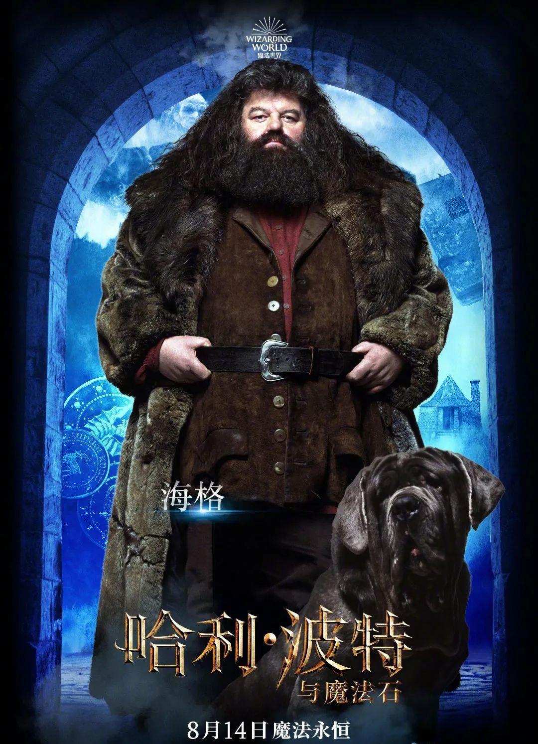  哈利|70万人打出9分，尖叫和眼泪都为它准备好了