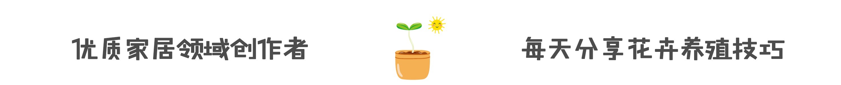  造假|现在还能买到假鸡蛋？看准这几点，鸡蛋个头大味道新鲜