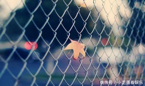 心情|心情不好发的说说短句,句句心酸委屈