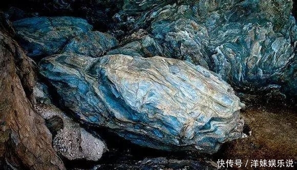 海鲜|海鲜大全, 你能认出多少