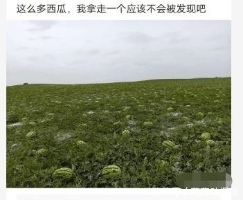  看不下去|“买了两个神奇宝贝的手办，家人看不下去了”哈哈哈哈哈笑到肚子疼！