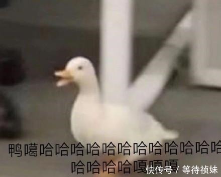  男子|男子腹部肿大得像个西瓜，原来是连吃了一周小龙虾，真是个狠人！