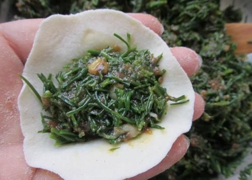 润肠|夏天吃饺子,韭菜靠边站,这菜做馅鲜嫩多汁营养好,还能润肠通便