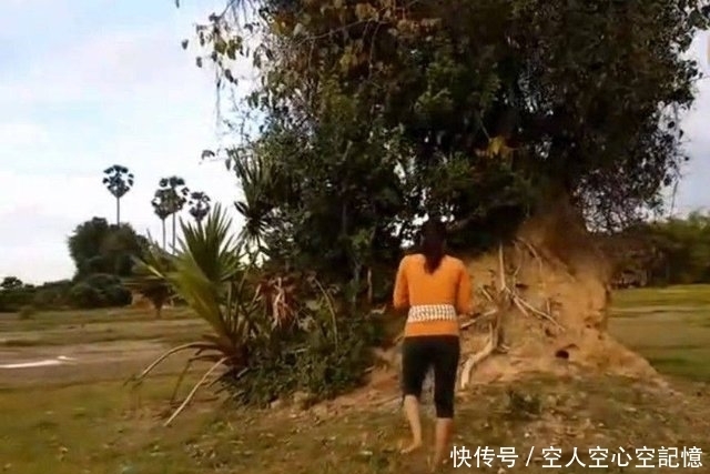 挖开|女子在地里劳作时发现一个洞，挖开后发现这好东西！