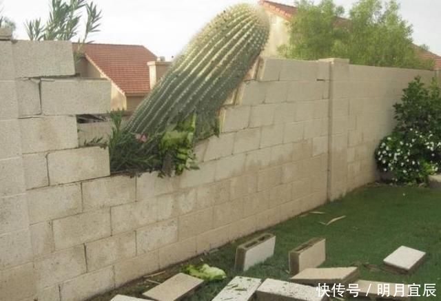  荒唐|10张那些看起来“荒唐”的照片，让人很难理解到底是怎么回事