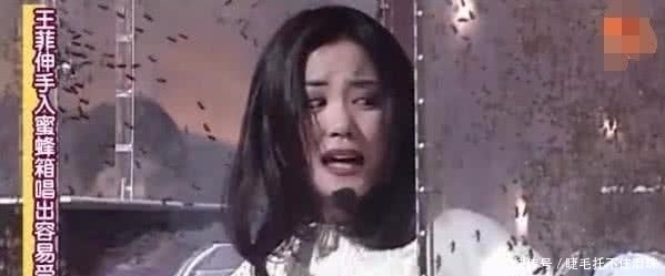  创收|浙江卫视AB面：一档节目创收20亿，曾致邓超骨折袁立斥其龌龊