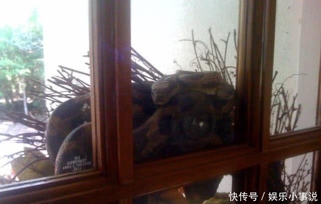  剧痛|男子出门上班，刚出门头顶传来剧痛，伸手一摸魂都飞了