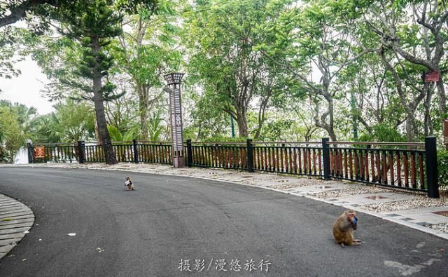 爱上读书馆|三亚,一个去了就不想走的城市4天3晚,带你玩转三亚精华