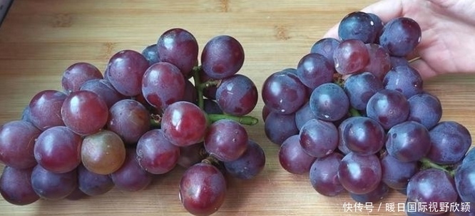 盐水|洗葡萄用盐水就错了,等于吃虫卵,教你2个技巧,虫卵跑光光