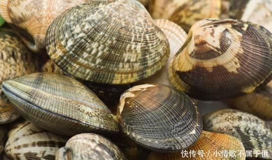 清洗|清洗花甲时,有人放油有人放盐,其实都不对,这样做花甲狂吐沙