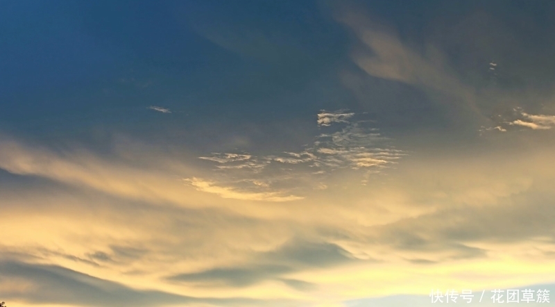  生肖|8月开始财运上佳，财运滚滚到，收入攀升的四大生肖