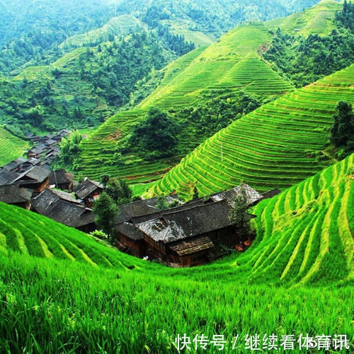 天然居|龙脊梯田天然居客栈:龙脊梯田云雾环绕犹如美丽的面纱