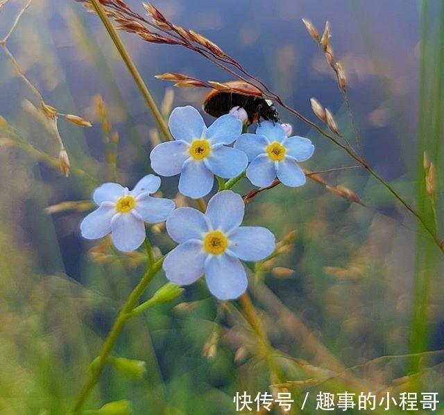 心情舒畅|让你心情舒畅的句子，经典大气，越看越宽心！