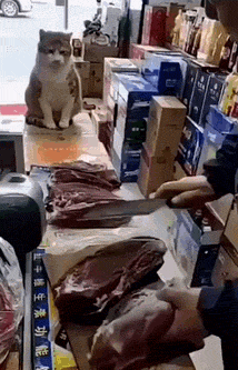 GIF|搞笑GIF：这是我见过最帅的小魔仙，非常的迷人