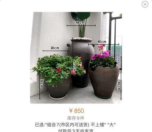 个个|他用菜坛子养多肉,1分不花又好看,个个壮得像白菜