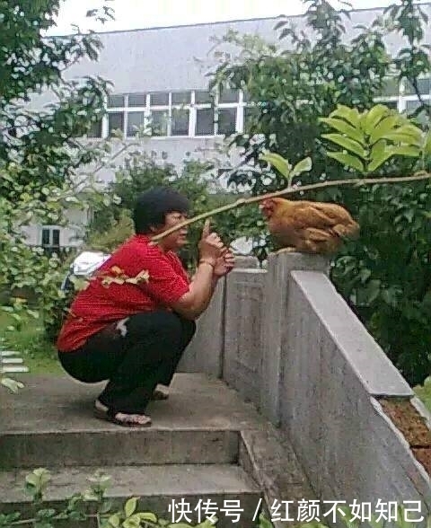 笑话|搞笑图片幽默段子笑话：哈哈哈，从小就培养孩子玩游戏的天赋啦