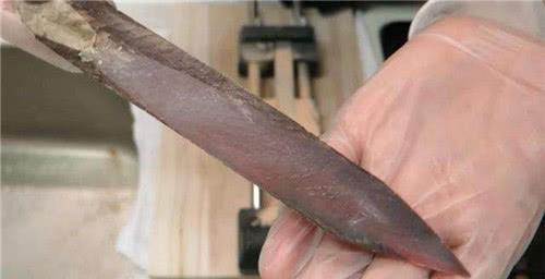 日本|世界最硬的鱼:可被做成菜刀,牙齿难以咬动,却成了日本人的最爱