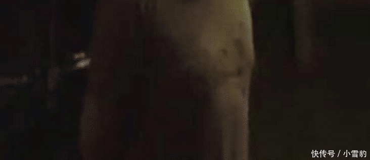  全责|外卖车被风吹倒砸到奔驰，交警：快递员负全责，小伙搬出“道交法”怼交警