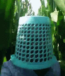 难道|搞笑GIF:这里面的难道是花生?我看着像,我回家带布袋!