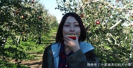 北海道|用美食来记忆一个季节，日本北海道的秋之味觉