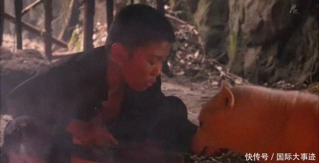 离家出走|被父母家暴后,13岁男孩离家出走到深山,一呆就是43年