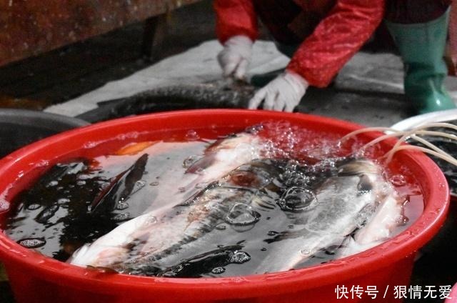 家乡|回家过年,别忘了到这地方逛逛,看看家乡的美食,感受本真的生活