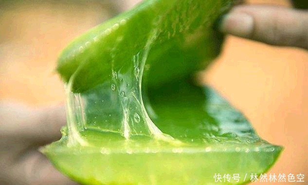 保湿|芦荟美容养颜,可以涂脸保湿。具体步骤告诉你