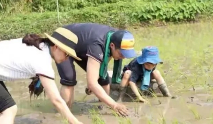 铁血|儿子5岁还没尝过盐,有必要吗?“体操公主”刘璇铁血育儿引争议