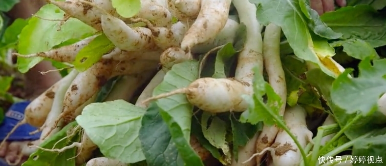  新片|《舌尖上的中国》团队又出顶级新片，一集就馋哭我！