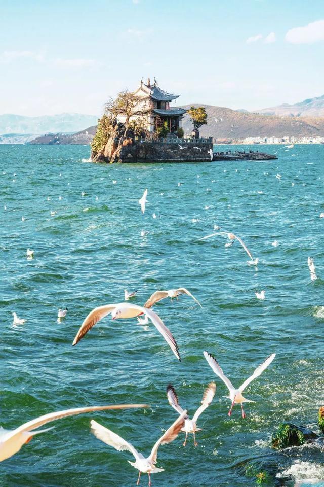  西双版纳|这个被各大热门综艺独宠的宝藏省份，真是仙到要疯！