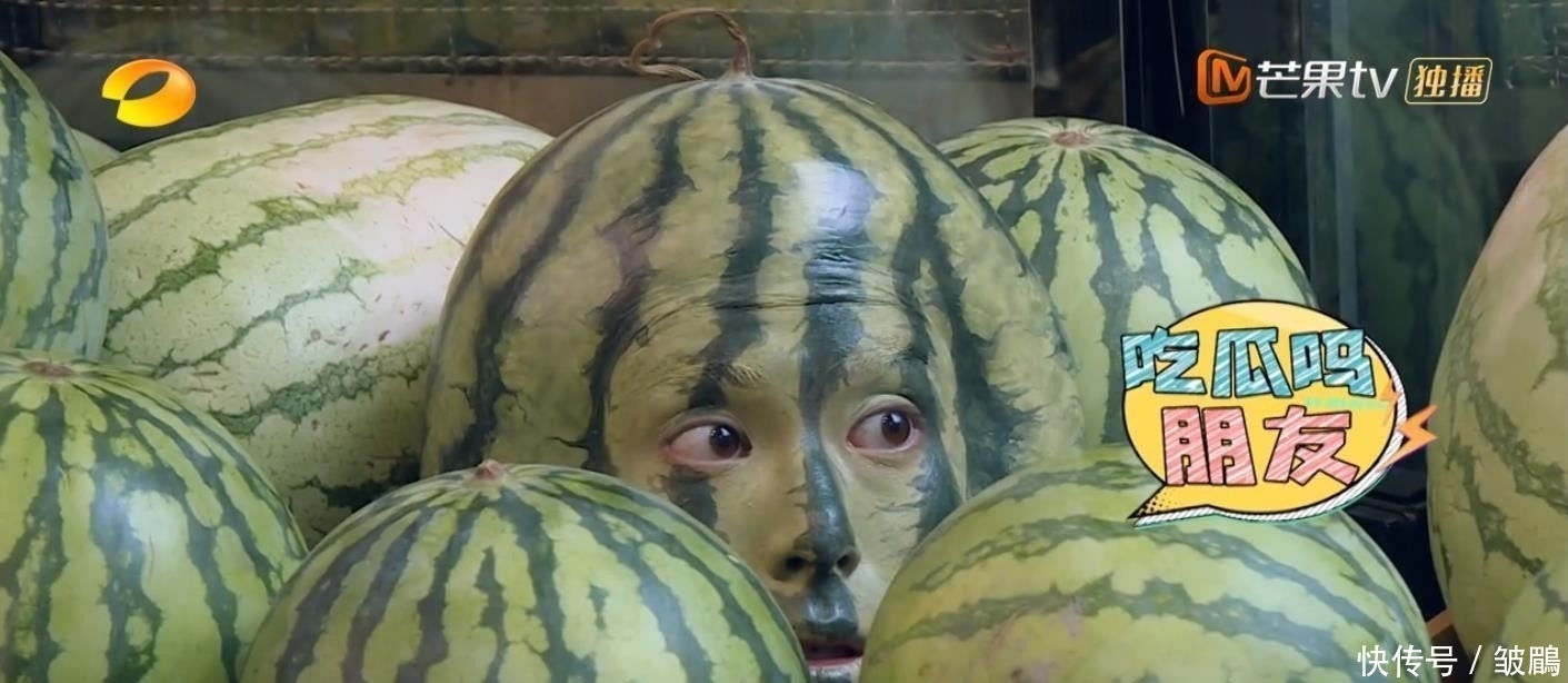 综艺|今年最好笑的综艺!胡军杨洋领着一群男人天南海北地玩捉迷藏
